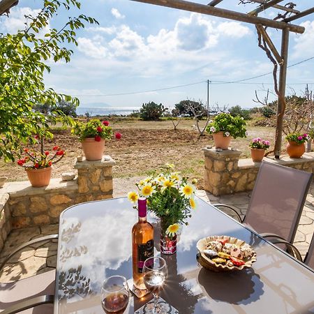 Venetia'S Garden Apartment Lefkos  Екстериор снимка