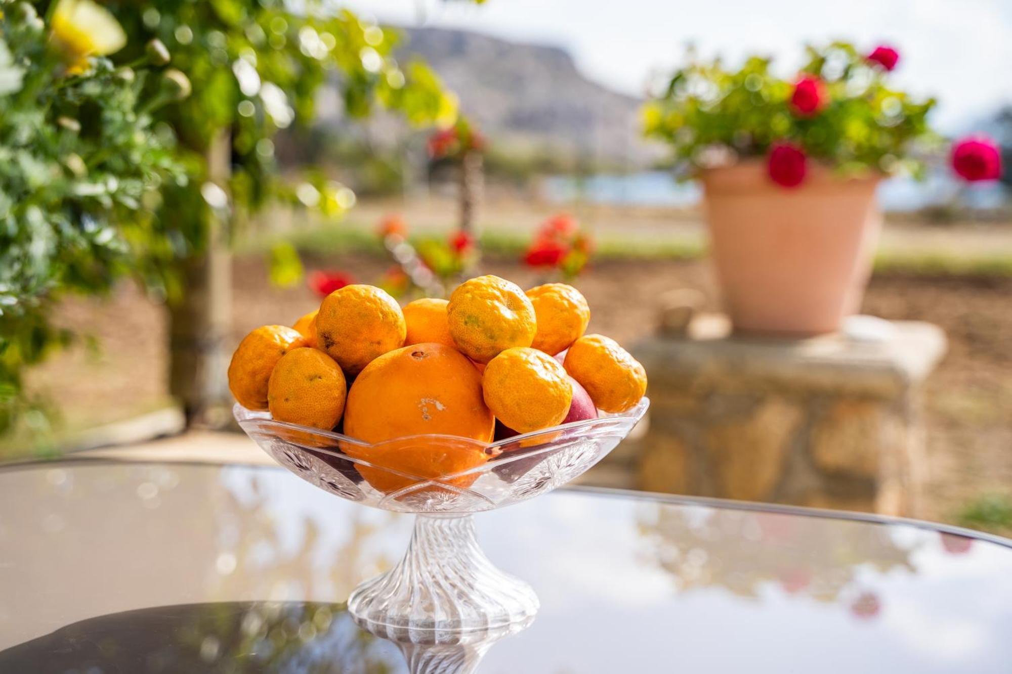 Venetia'S Garden Apartment Lefkos  Екстериор снимка