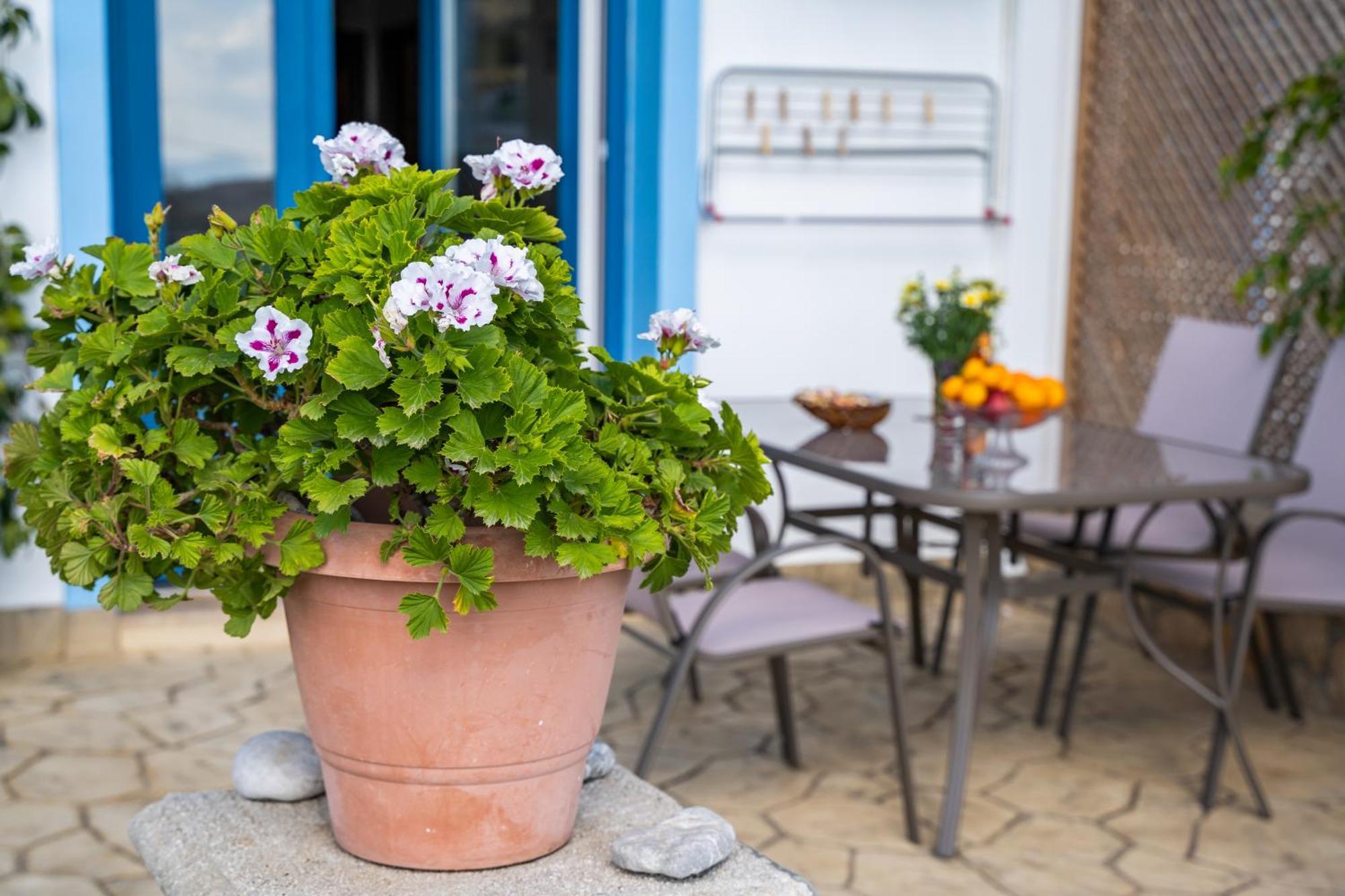 Venetia'S Garden Apartment Lefkos  Екстериор снимка